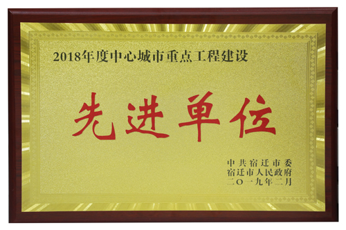 2018年度中心城市重點工程建設先進單位